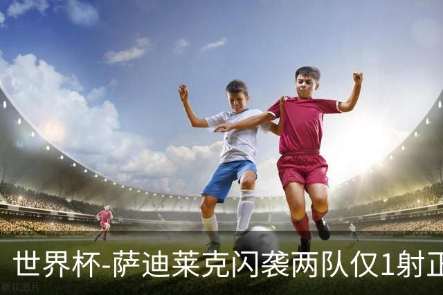 世界杯-萨迪莱克闪袭两队仅1射正 捷克半场暂1-0南非