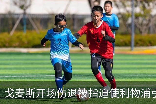 戈麦斯开场伤退被指迫使利物浦引援:防守已暴露于桑德兰