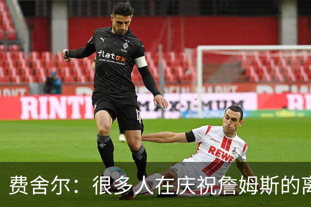 费舍尔：很多人在庆祝詹姆斯的离开 身边人并不支持詹姆斯的湖人