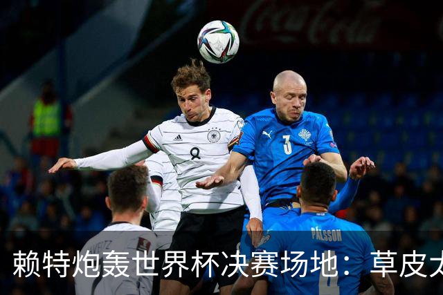 赖特炮轰世界杯决赛场地：草皮太差，属实离谱